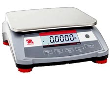 R31P30 Ohaus bench scale